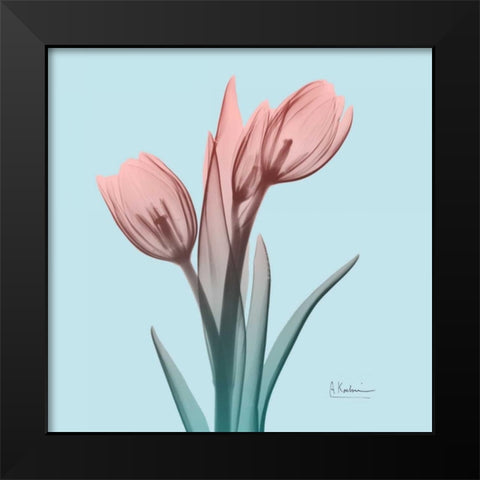 Awakening Tulips 1 Black Modern Wood Framed Art Print by Koetsier, Albert