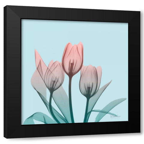 Awakening Tulips 2 Black Modern Wood Framed Art Print with Double Matting by Koetsier, Albert