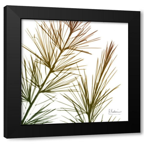 Fall Sequoia Black Modern Wood Framed Art Print with Double Matting by Koetsier, Albert