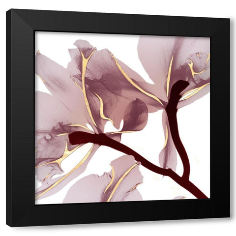 Luscious Bouquet 2 Black Modern Wood Framed Art Print by Koetsier, Albert