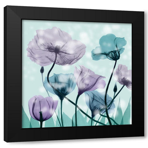 Midnight Flowerscape Black Modern Wood Framed Art Print with Double Matting by Koetsier, Albert