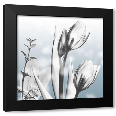 Heavenly Growth Black Modern Wood Framed Art Print with Double Matting by Koetsier, Albert