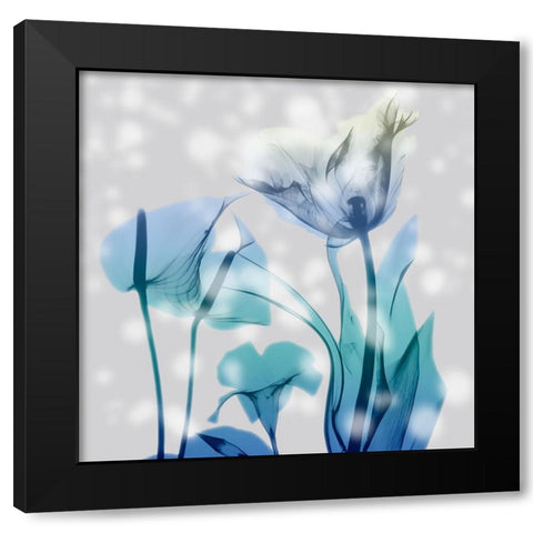 Morning Desire Black Modern Wood Framed Art Print by Koetsier, Albert