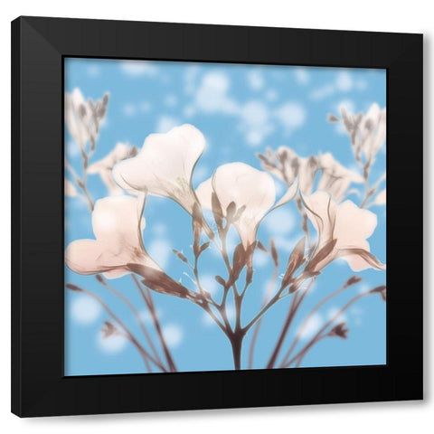 Ocean Oleander Black Modern Wood Framed Art Print with Double Matting by Koetsier, Albert