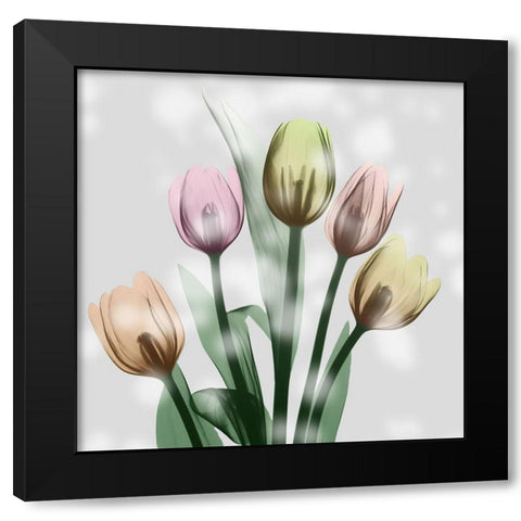 Awakening Tulips Black Modern Wood Framed Art Print with Double Matting by Koetsier, Albert
