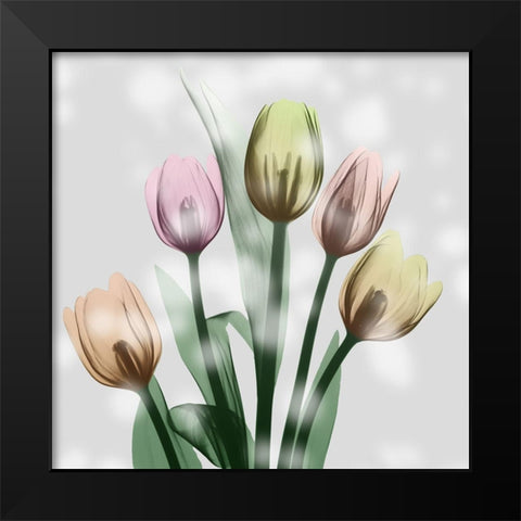 Awakening Tulips Black Modern Wood Framed Art Print by Koetsier, Albert