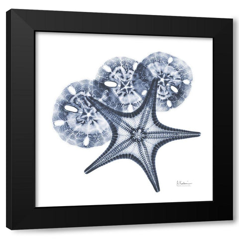 Indigo Starfish and Sand Dollar Black Modern Wood Framed Art Print with Double Matting by Koetsier, Albert