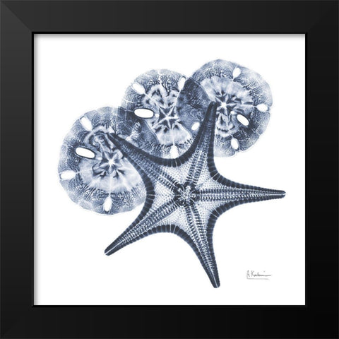 Indigo Starfish and Sand Dollar Black Modern Wood Framed Art Print by Koetsier, Albert