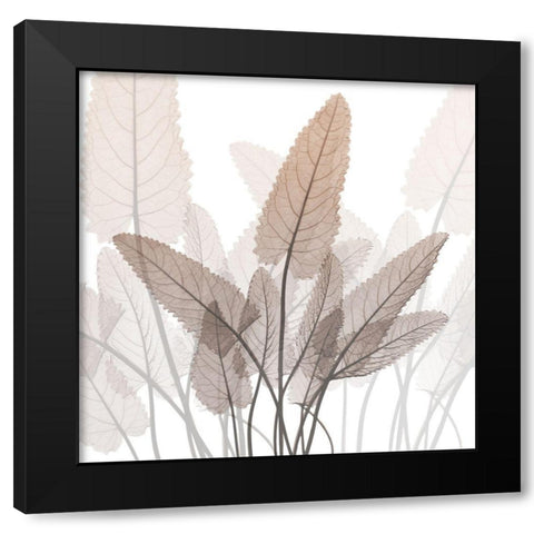 Eternal Desert 1 Black Modern Wood Framed Art Print with Double Matting by Koetsier, Albert