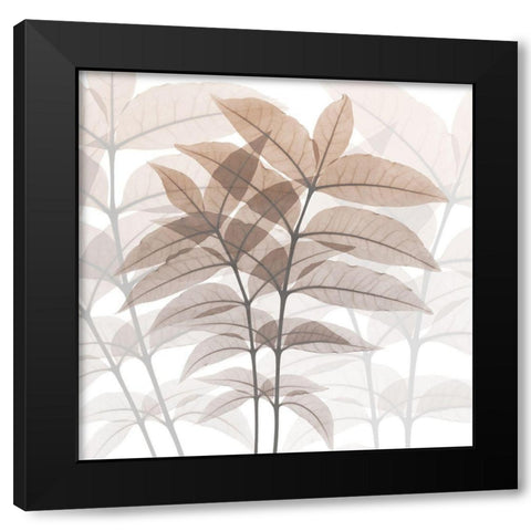 Eternal Desert 2 Black Modern Wood Framed Art Print with Double Matting by Koetsier, Albert