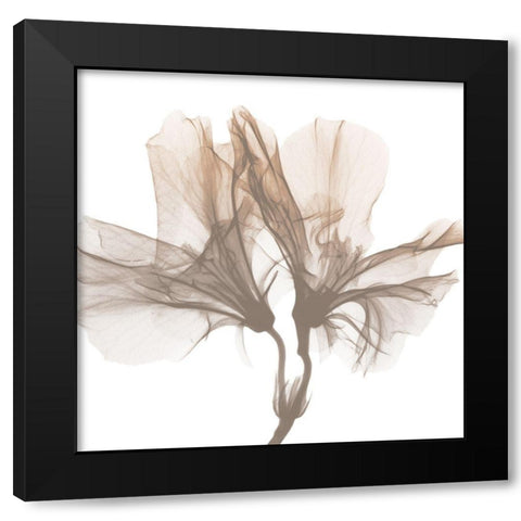 Dry Azalea 1 Black Modern Wood Framed Art Print by Koetsier, Albert