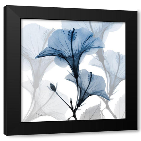 Steel Hibiscus Black Modern Wood Framed Art Print with Double Matting by Koetsier, Albert