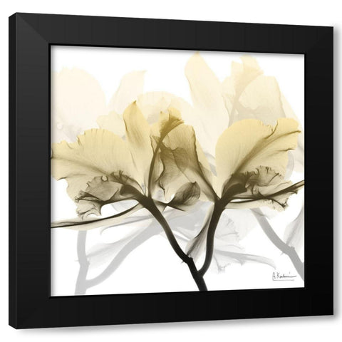 Flaxen Orchid Black Modern Wood Framed Art Print by Koetsier, Albert