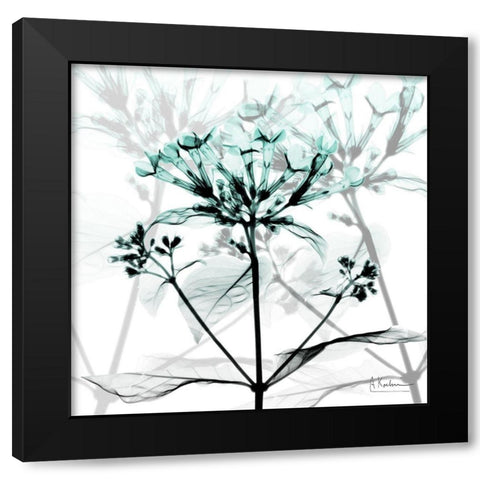 Crystalized Floral Black Modern Wood Framed Art Print with Double Matting by Koetsier, Albert