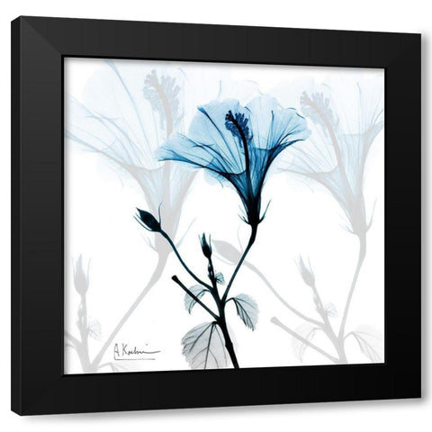 Hibiscus Azure Black Modern Wood Framed Art Print with Double Matting by Koetsier, Albert