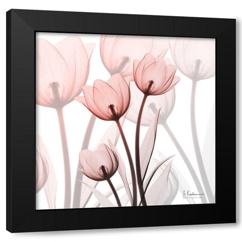 Blush Luster Tulips Black Modern Wood Framed Art Print with Double Matting by Koetsier, Albert