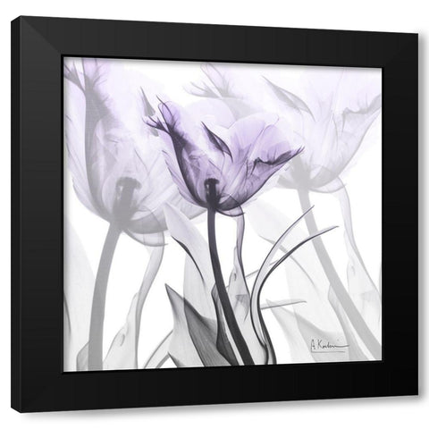 Lilac Luster Tulip Black Modern Wood Framed Art Print with Double Matting by Koetsier, Albert