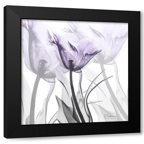 Lilac Luster Tulip Black Modern Wood Framed Art Print by Koetsier, Albert