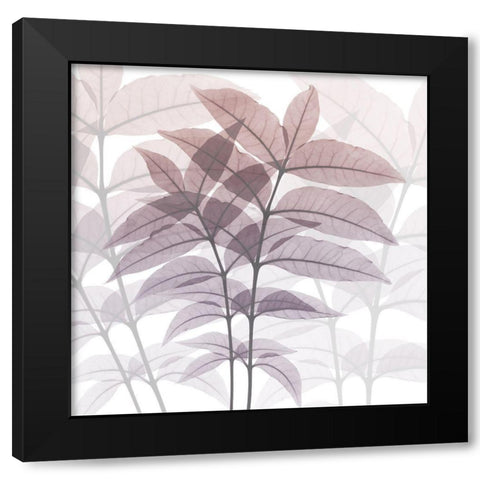 Eternal Bloom Black Modern Wood Framed Art Print by Koetsier, Albert