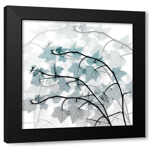 Icy Transformation Black Modern Wood Framed Art Print with Double Matting by Koetsier, Albert