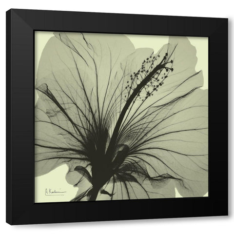 Emerald Hibiscus Black Modern Wood Framed Art Print with Double Matting by Koetsier, Albert