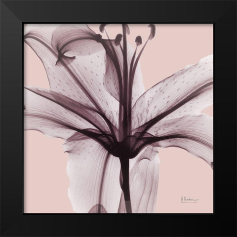 Sensitive Lily Black Modern Wood Framed Art Print by Koetsier, Albert