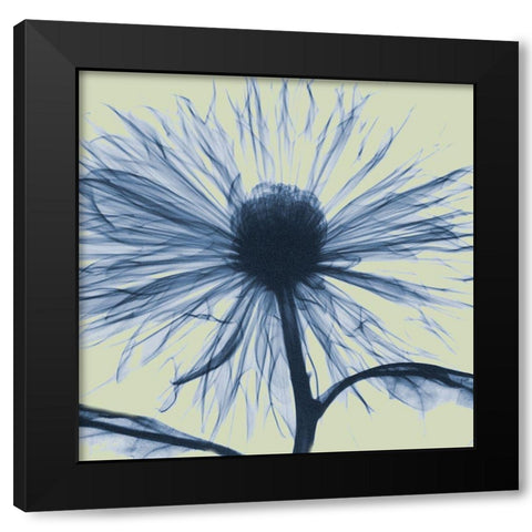 Emerald Chrysanthemum Black Modern Wood Framed Art Print by Koetsier, Albert