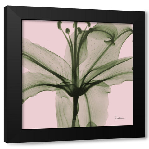 Lovers Lily Black Modern Wood Framed Art Print with Double Matting by Koetsier, Albert