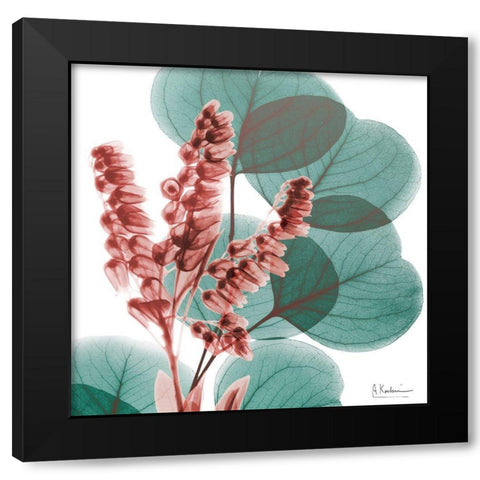 Blushing Lilly Of Eucalyptus 1 Black Modern Wood Framed Art Print with Double Matting by Koetsier, Albert