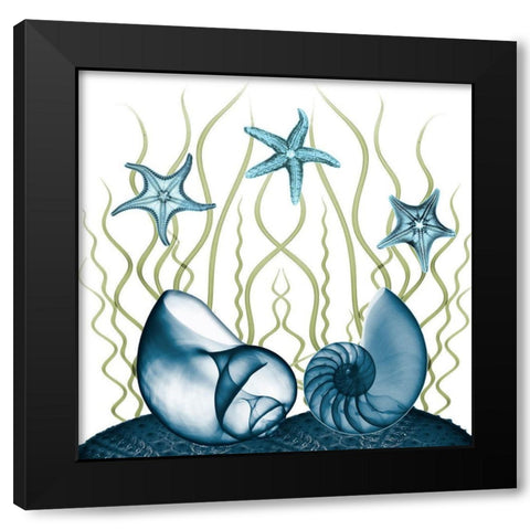 Majestic Sea Floor 2 Black Modern Wood Framed Art Print with Double Matting by Koetsier, Albert