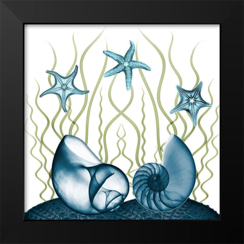 Majestic Sea Floor 2 Black Modern Wood Framed Art Print by Koetsier, Albert