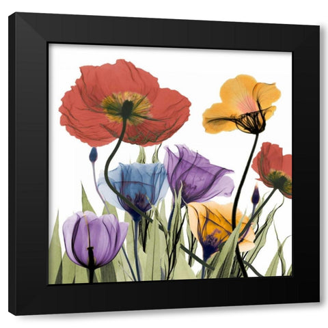 Flowerscape Black Modern Wood Framed Art Print with Double Matting by Koetsier, Albert