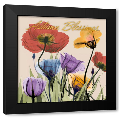 Flowerscape Blessings Black Modern Wood Framed Art Print with Double Matting by Koetsier, Albert