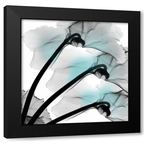 Teal Luster Cyclamen Black Modern Wood Framed Art Print with Double Matting by Koetsier, Albert