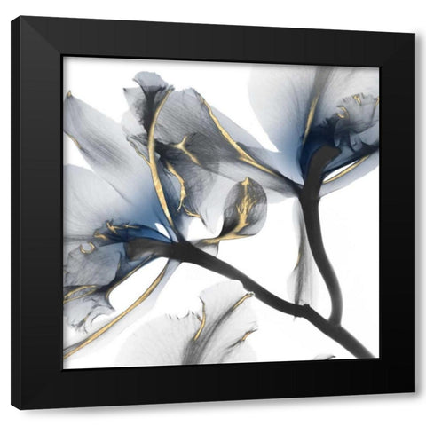 Indigo Luster Cyclamen 2 Black Modern Wood Framed Art Print with Double Matting by Koetsier, Albert