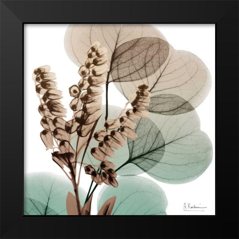 Oasis Eucalyptus 1 Black Modern Wood Framed Art Print by Koetsier, Albert