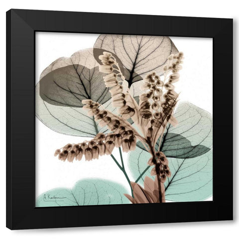 Oasis Eucalyptus 2 Black Modern Wood Framed Art Print with Double Matting by Koetsier, Albert