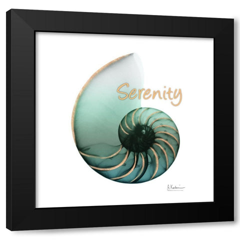 Shinny Serenity Snail 1 Black Modern Wood Framed Art Print with Double Matting by Koetsier, Albert