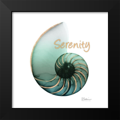 Shinny Serenity Snail 1 Black Modern Wood Framed Art Print by Koetsier, Albert