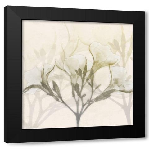 Sunkissed Oleander Black Modern Wood Framed Art Print with Double Matting by Koetsier, Albert