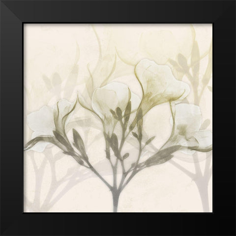 Sunkissed Oleander Black Modern Wood Framed Art Print by Koetsier, Albert