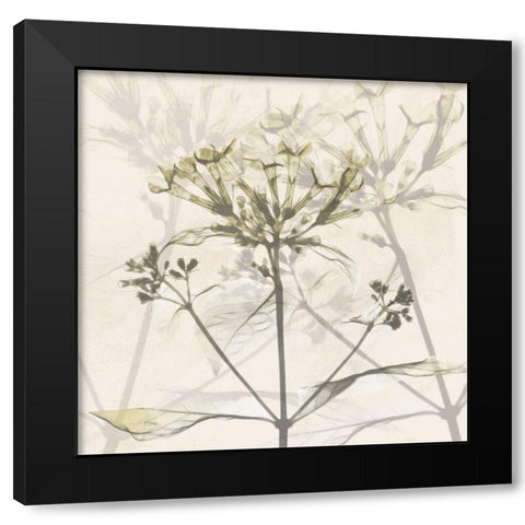 Sunkissed Floral Black Modern Wood Framed Art Print with Double Matting by Koetsier, Albert