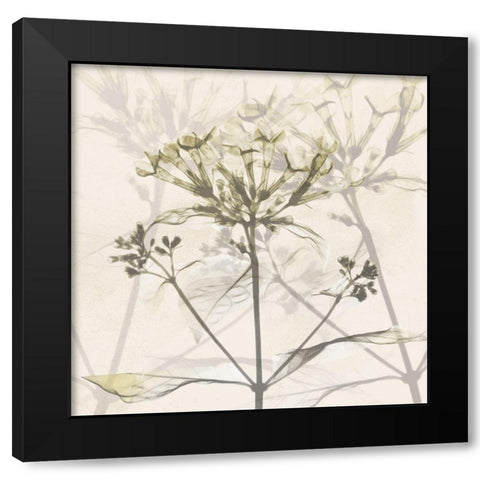 Sunkissed Floral Black Modern Wood Framed Art Print by Koetsier, Albert