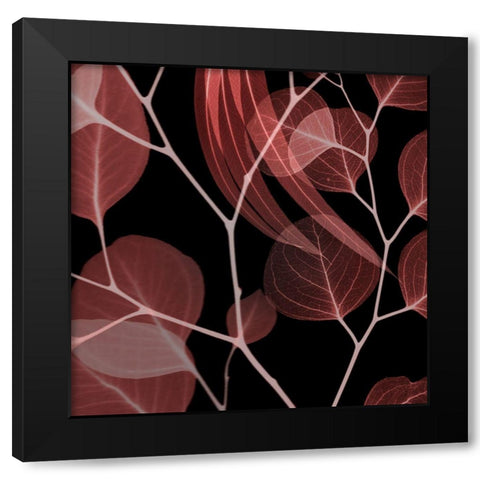 Coral Infused Eucalyptus 1 Black Modern Wood Framed Art Print with Double Matting by Koetsier, Albert