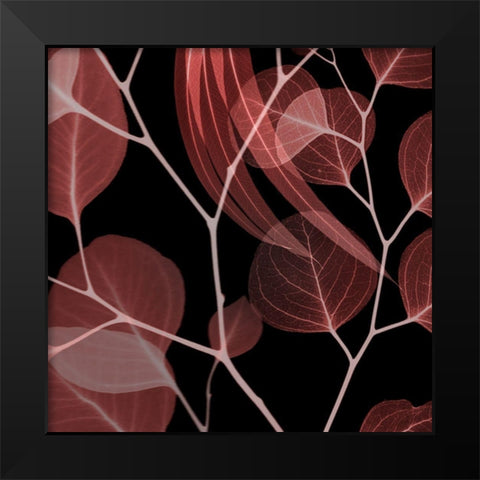 Coral Infused Eucalyptus 1 Black Modern Wood Framed Art Print by Koetsier, Albert