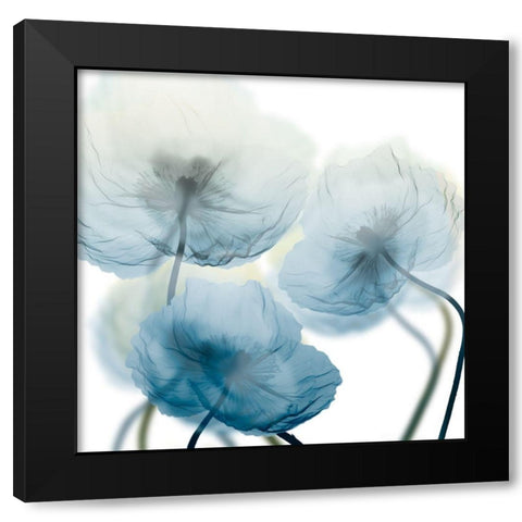 Unfocused Beauty 1 Black Modern Wood Framed Art Print with Double Matting by Koetsier, Albert