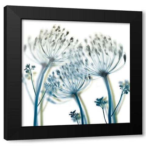 Unfocused Beauty 2 Black Modern Wood Framed Art Print by Koetsier, Albert