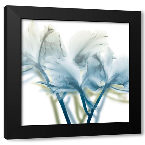 Unfocused Beauty 3 Black Modern Wood Framed Art Print with Double Matting by Koetsier, Albert