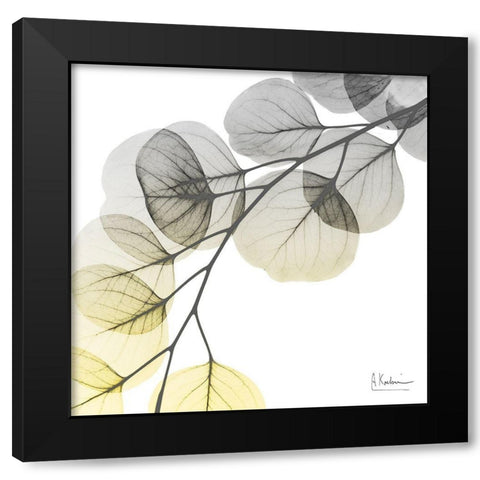 Brilliant Eucalyptus 1 Black Modern Wood Framed Art Print with Double Matting by Koetsier, Albert