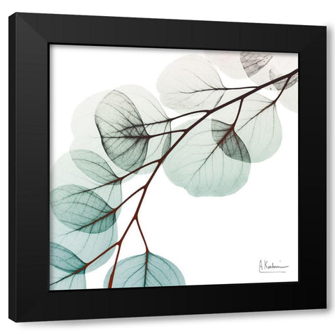 Extravagant Eucalyptus 1 Black Modern Wood Framed Art Print with Double Matting by Koetsier, Albert